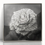 Framed wall art featuring a botanical rose design in vibrant colors, set in a sleek silver frame, ideal for adding elegance to home decor.