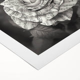 Botanical rose design wall art on rolled canvas, showcasing vibrant pink and green floral elements against a soft background, ideal for home decor.