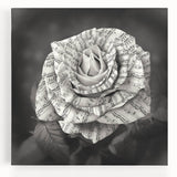 Stretched canvas wall art featuring a detailed botanical rose design, showcasing vibrant colors and intricate floral patterns, perfect for home decor.