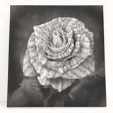 Botanical rose design wall art on stretched canvas, showcasing vibrant pink and green hues, ideal for home decor in a living room or office setting.