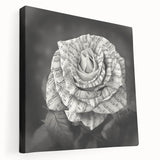 Stretched canvas wall art showcasing a botanical rose design, featuring vibrant pink and green hues, perfect for adding elegance to home decor.