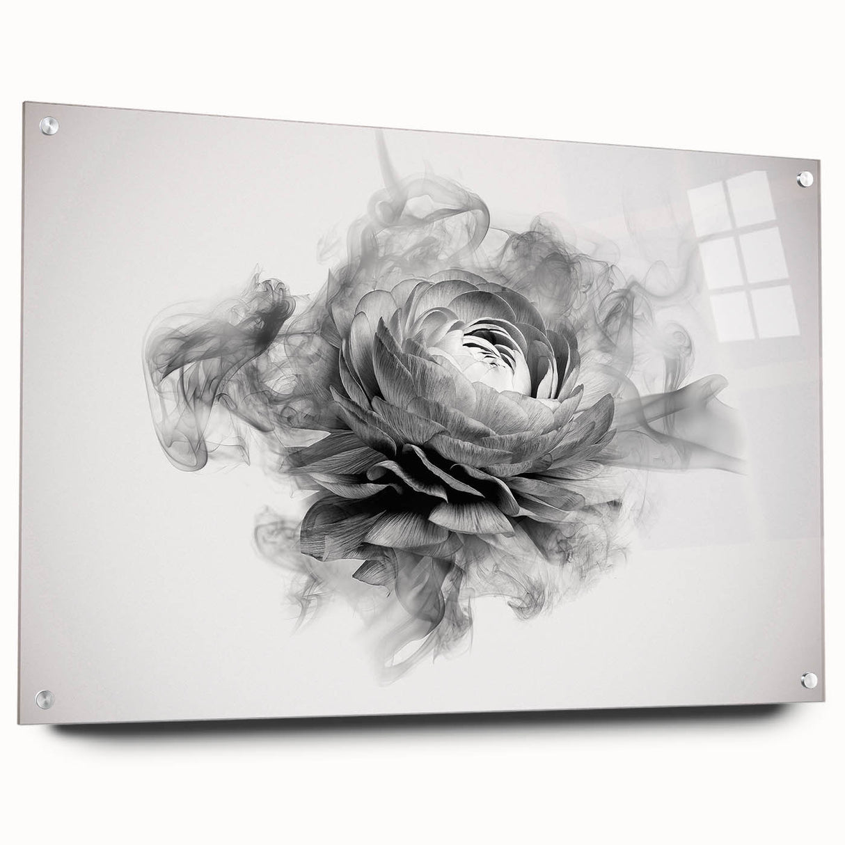 Elegant botanical rose wall art design displayed in a sleek acrylic frame, showcasing vibrant colors and intricate details, perfect for home décor enhancement.