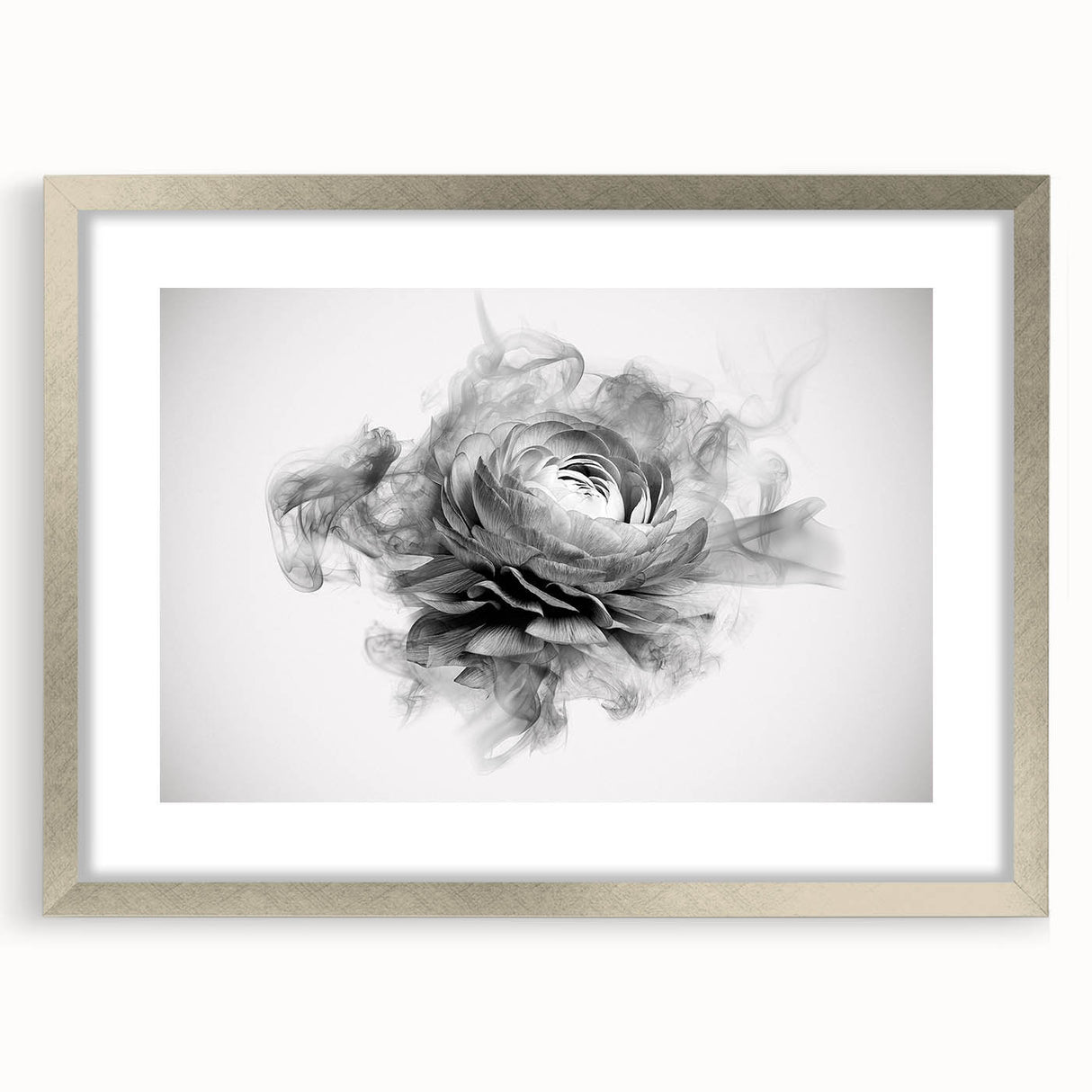 Botanical wall art featuring a detailed rose design in a silver frame with matting, perfect for adding elegance to any home decor. Ideal for floral art enthusiasts.