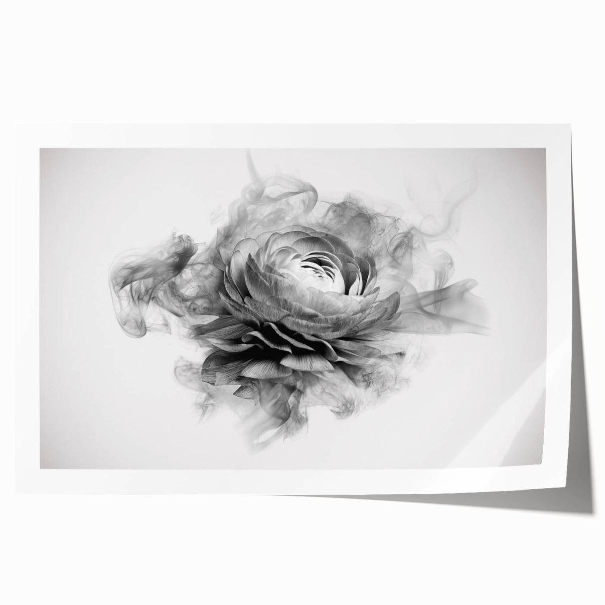 Delicate botanical rose design printed on high-quality rolled art paper, showcasing intricate floral details and soft pastel colors, ideal for home decor.