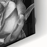 Close-up of an acrylic glass wall art piece showcasing a botanical rose design, featuring vibrant colors and intricate details, perfect for home decor.