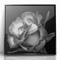 Framed wall art featuring a botanical rose design in a black frame, displayed against a neutral backdrop, perfect for enhancing home decor with elegance.