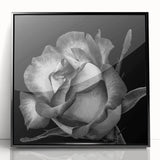 Framed wall art featuring a botanical rose design in a black frame, displayed against a neutral backdrop, perfect for enhancing home decor with elegance.