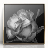 Framed botanical wall art featuring a detailed rose design in vibrant colors, presented in a sleek gold frame, perfect for home decor enhancement.