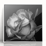 Framed wall art featuring a botanical rose design, showcasing vibrant pink and green hues on a white background, ideal for home decor in a contemporary setting.