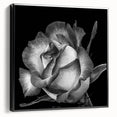 Framed canvas wall art featuring a botanical rose design in a contemporary black frame, showcasing intricate floral details and vibrant colors, ideal for home decor.