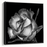 Framed canvas wall art featuring a botanical rose design in a contemporary black frame, showcasing intricate floral details and vibrant colors, ideal for home decor.