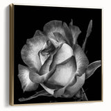 Framed canvas wall art showcasing an elegant botanical rose design in soft pastel colors, accented with silver and gold tones, perfect for home decor.