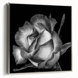 Framed botanical wall art showcasing a delicate rose design on a textured canvas, accentuated by a sleek silver frame, ideal for elegant home decor.
