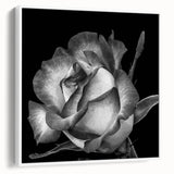 Framed canvas wall art showcasing a botanical rose design with intricate floral details, set against a white background, highlighting elegance and modern decor.