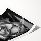 Botanical rose design wall art print showcasing vibrant pink and green hues on a textured background, rolled for easy display and shipping in a protective tube.