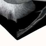 Close-up of a botanical rose design wall art piece printed on stretched canvas, showcasing intricate details and vibrant colors for home decor enhancement.