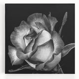 Stretched canvas featuring a botanical rose design in soft pink and green hues, perfect for home decor. This wall art adds a touch of elegance to any room.