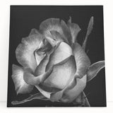 Botanical rose design wall art on stretched canvas, showcasing vibrant pink and green hues with a modern aesthetic, perfect for home decor enhancement.