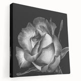 Stretched canvas wall art featuring a detailed botanical rose design in soft pink and green hues, showcasing elegant floral patterns perfect for home decor.