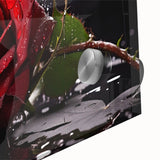 Close-up of a botanical rose design wall art piece, showcasing intricate details and vibrant colors on acrylic glass, ideal for enhancing home decor.