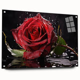 Elegant botanical rose wall art design displayed in a sleek acrylic glass frame, showcasing vibrant colors and intricate floral details, ideal for home decor.