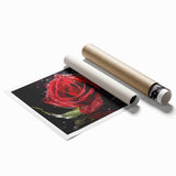 Botanical rose wall art print showcasing delicate pink and white roses against a soft green background, ideal for home decor or floral-themed spaces.