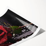 Botanical wall art print featuring delicate pink roses on a soft pastel background, rolled for easy framing and display, ideal for home decor enthusiasts.