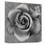 Botanical rose wall art design displayed in a stylish acrylic frame, showcasing vibrant colors and intricate floral details, ideal for home decor.