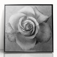 Framed wall art featuring a botanical design of vibrant roses in a sleek black frame, perfect for home decor, adding elegance to any room.