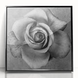 Framed wall art featuring a botanical design of vibrant roses in a sleek black frame, perfect for home decor, adding elegance to any room.