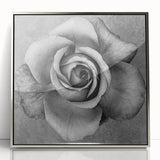 Framed botanical wall art featuring an elegant rose design in silver acrylic, perfect for adding a touch of sophistication to modern home decor.