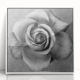 Framed wall art showcasing a botanical rose design in vibrant colors, set against a sleek white background, ideal for enhancing home decor with a touch of nature.