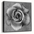 Framed botanical rose wall art design showcasing vibrant pink and white roses against a black background, elegantly displayed from the side. Perfect for home decor.