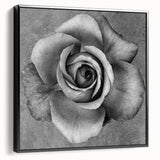 Framed botanical rose wall art design showcasing vibrant pink and white roses against a black background, elegantly displayed from the side. Perfect for home decor.