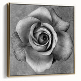 Framed botanical rose wall art in silver and gold tones, showcasing intricate floral designs on canvas, ideal for elegant home decor or gallery display.