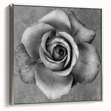 Framed canvas wall art showcasing an elegant botanical rose design in soft pinks and greens, set within a sleek silver frame, ideal for home decor.
