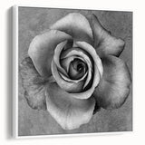 Framed botanical rose wall art showcasing a delicate floral design, featuring soft pink and white hues on a textured canvas, ideal for elegant home decor.