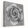 Stretched canvas wall art showcasing a botanical rose design, featuring vibrant pink and green hues, perfect for home decor in contemporary settings.