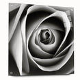 Acrylic wall art piece showcasing a botanical rose design, elegantly displayed from a side view with decorative pins, highlighting intricate floral details and vibrant colors, perfect for enhancing home decor.
