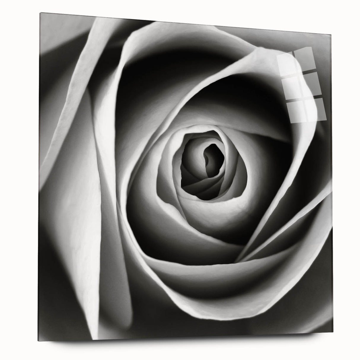 Acrylic wall art featuring a botanical rose design in soft pink and green hues, presented from a side view, highlighting its elegant frame and modern aesthetic. Ideal for home decor and floral art enthusiasts.