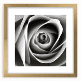 Botanical rose wall art collection framed in gold, featuring intricate floral designs with a mat, perfect for elegant home decor. Ideal for enhancing interior aesthetics.