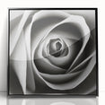 Framed wall art featuring a botanical rose design with vibrant pink and green colors, enclosed in a sleek black frame, perfect for home or office decor.