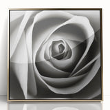 Framed botanical wall art featuring a beautiful gold-accented rose design, displayed in an elegant frame, perfect for enhancing home decor.