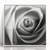 Framed wall art featuring a botanical rose design with vibrant pink and green colors, presented in a sleek white frame, perfect for home decor.