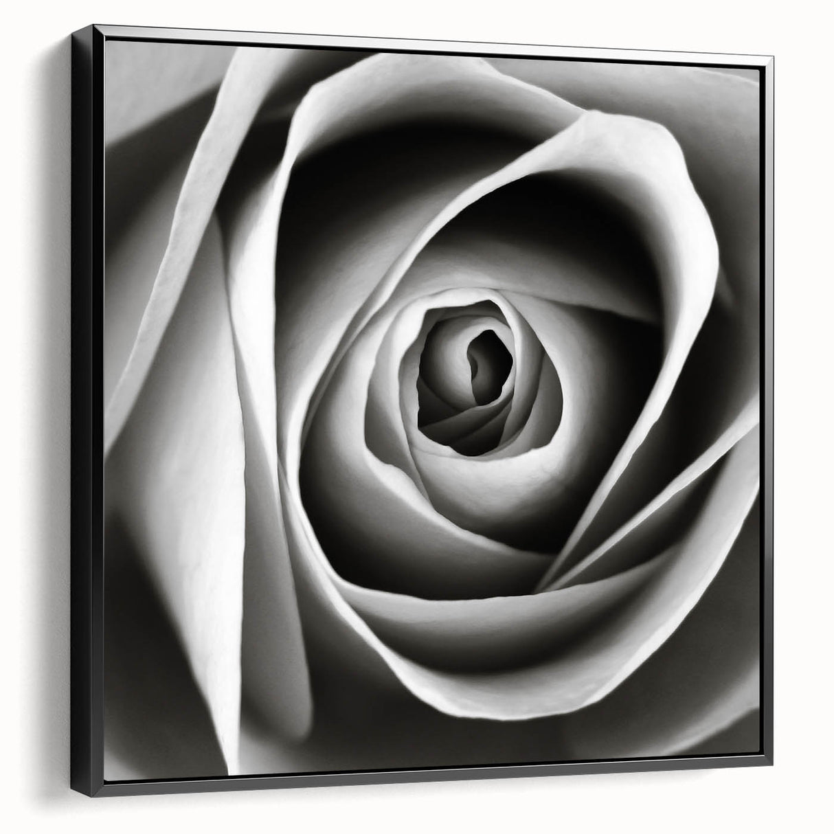 Framed botanical wall art featuring a detailed rose design on canvas, displayed against a black background, showcasing elegance and sophistication in home decor.