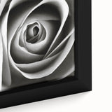 Close-up of a botanical rose design on a framed canvas wall art piece, showcasing intricate floral details in soft pink and green hues, perfect for home decor.