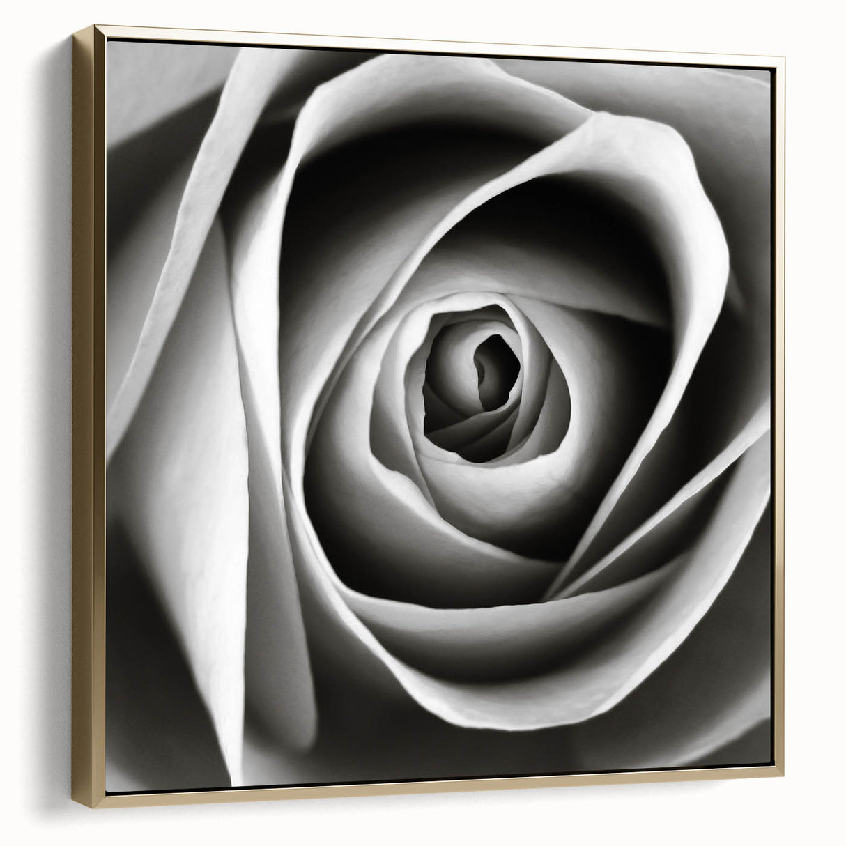 Framed botanical wall art featuring a delicate rose design in elegant silver and gold hues, perfect for enhancing home decor with a touch of nature's beauty.