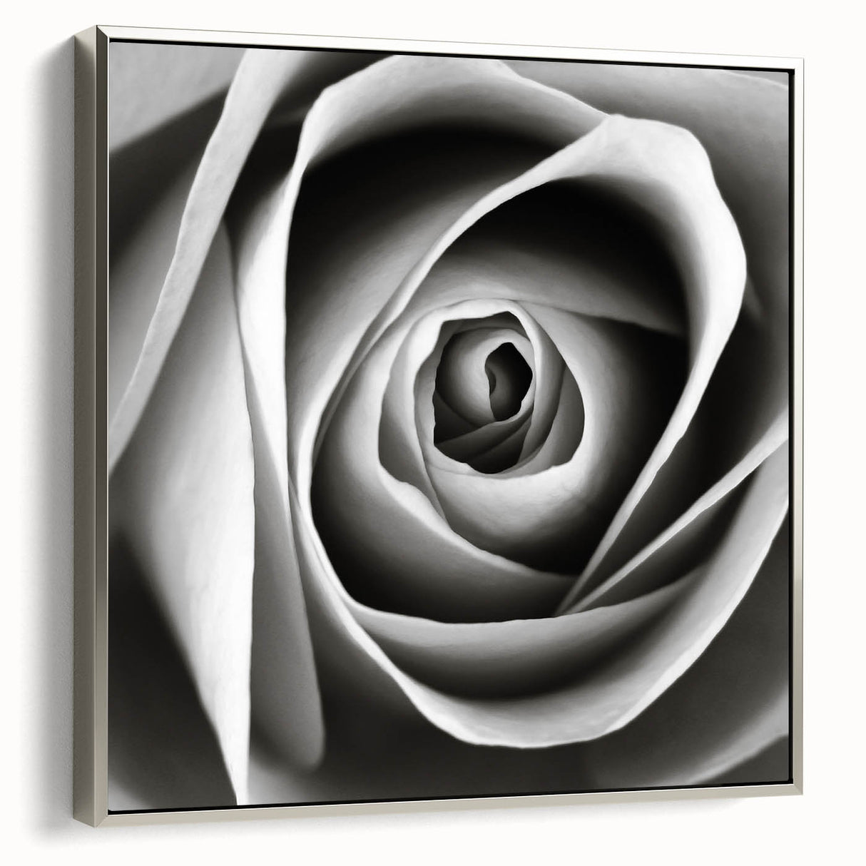 Framed canvas wall art showcasing a botanical rose design with intricate details, elegantly presented in a silver frame, perfect for home decor enhancement.