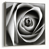 Framed canvas wall art showcasing a botanical rose design with intricate details, elegantly presented in a silver frame, perfect for home decor enhancement.