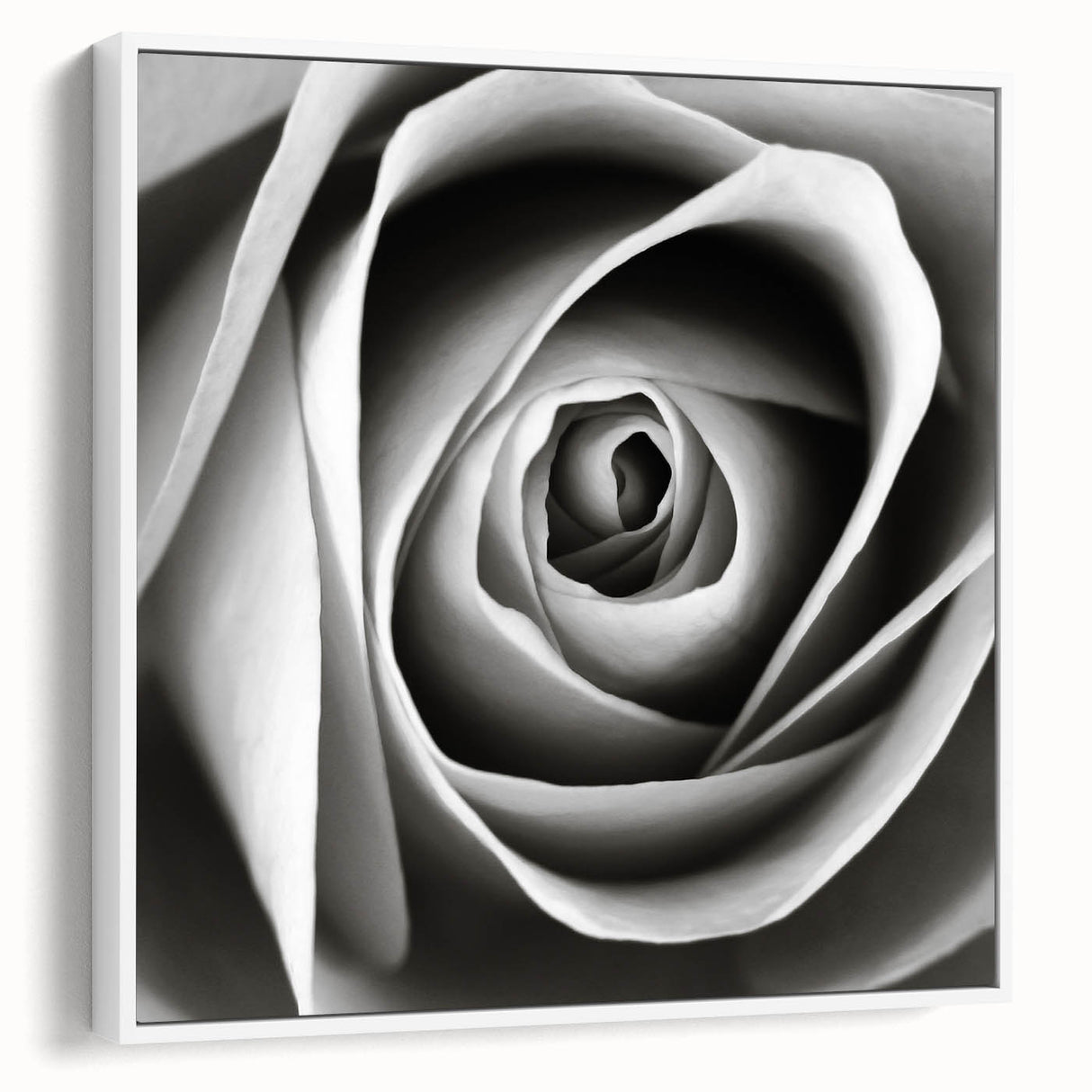 Framed botanical wall art featuring a delicate rose design on a white canvas, showcasing intricate details and elegant colors, perfect for home decor.